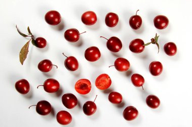 Prunus cerasifera var. Pissardii veya Spidola eriği, Letonya 'da yetişen beyaz erik çeşidi. Küçük kırmızı bir erik.