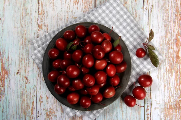 Prunus Cerasifera Var Pissardii Spidola Ameixa Variedade Ameixa Caucasiana Criada — Fotografia de Stock