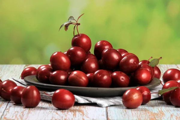 Prunus Cerasifera Var Pissardii Atau Spidola Plum Variasi Prem Kaukasia — Stok Foto