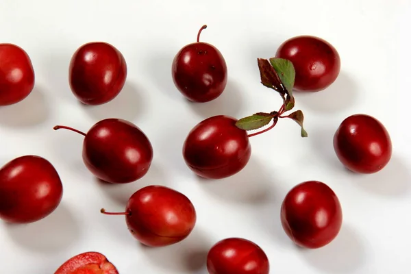 Prunus Cerasifera Var Pissardii Spidola Prune Variété Prune Caucasienne Élevée — Photo