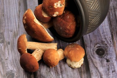 Karanlık arka planda mantar boletusu. Eski ahşap arka planda Boletus Edulis mantarları. organik Porcini Mantarı