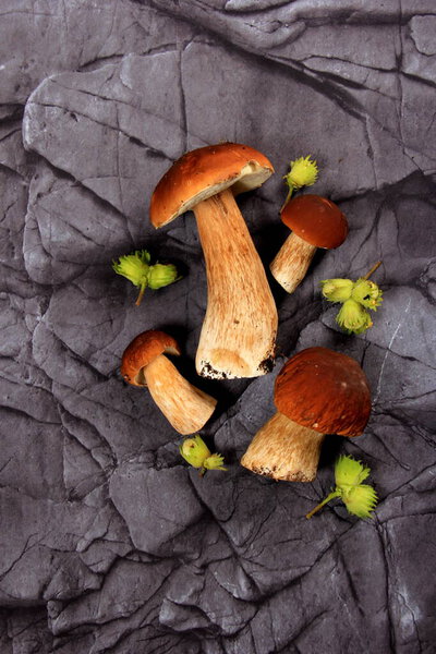 Гриб Болетус на тёмном фоне. Boletus edulis грибы на старом деревянном фоне. органический гриб порчини