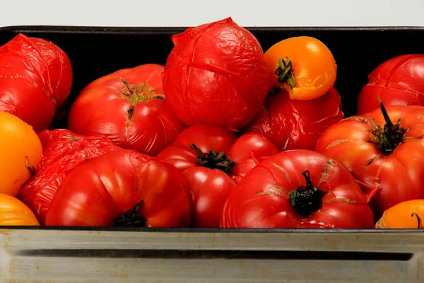 Blanchierte Rote Tomaten Auf Einem Teller Bereit Zum Schälen Tomatenverarbeitung — Stockfoto