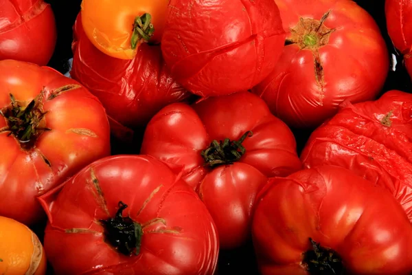 Tomates Rojos Blanqueados Plato Listos Para Pelar Procesamiento Tomate Para —  Fotos de Stock