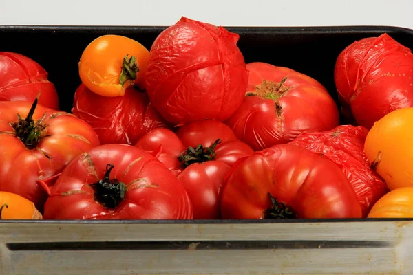 Blanchierte Rote Tomaten Auf Einem Teller Bereit Zum Schälen Tomatenverarbeitung — Stockfoto