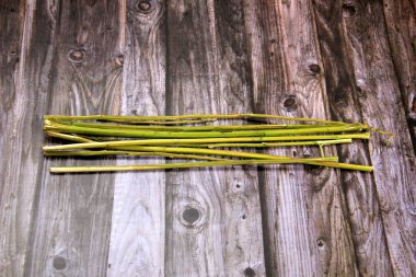 Kenevir ya da kenevir bitkisinin kökü yapraksız olur. Eski tahta tahtaların arka planı. Kenevir çayı. Halat hazırlama için kenevir bitkisi kullanımı