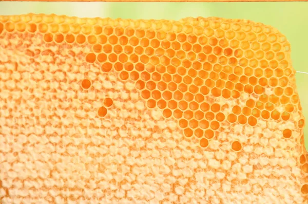 Bee Honeycomb Honey Yellow Honeycomb Wax Background Concept Beekeeping — Stock Photo, Image
