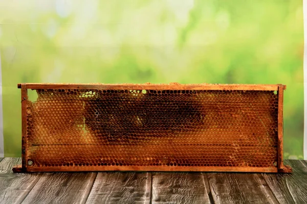 古いと損傷を受けた蜂のハニカム木製のフレーム内のクローズアップ 養蜂の概念 — ストック写真