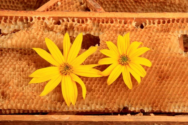 Old Bee Honeycomb Yellow Flowers Wooden Frame Close Beekeeping Concept — Stock Photo, Image
