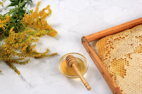 stock image Bee Honeycombs in a Frame, Honey in honeycombs, Beekeeping concept