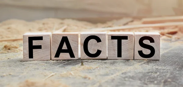 FACTS kelimesi ahşap küplere yazılmıştır. Açık havada tahta küpler, kırsal alana tepeden bakan. İşle ilgili tasarım için. Pazarlama kavramı.