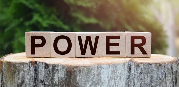 The word POWER is written on wooden cubes. Wooden cubes on a green lawn background for your design, concepts.