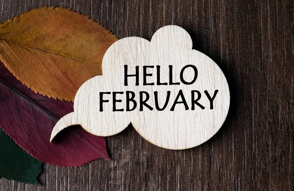 Wooden Plaque Inscription Hello February Lies Table View Flat Lay — Stock Photo, Image