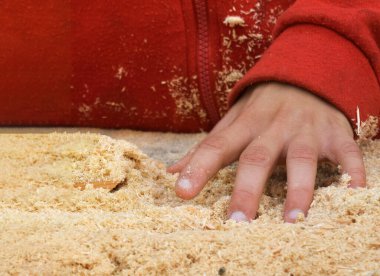 Bir avuç kuru teknolojik çipin üzerinde bir çocuğun elleri. Seçici odaklanma. Ahşap işçiliği ve işlenmemiş ahşap kalıntıları.,