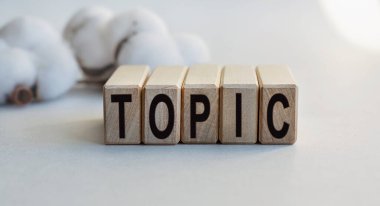 Tahta küplere yazılmış TOPIC yazıları hafif bir arkaplanda izole edilmiş. Tahta küp üzerinde kelime oluşturma kavramı. İş, ekonomi ve finans kavramı.