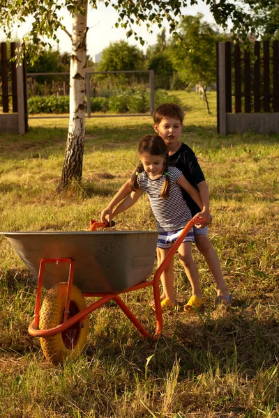 Ένα Αγόρι Και Ένα Κορίτσι Παίζουν Στο Χωριό Μια Ηλιόλουστη — Φωτογραφία Αρχείου