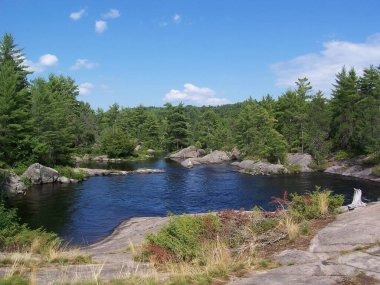Ontario, Kanada 'daki Barron Nehri