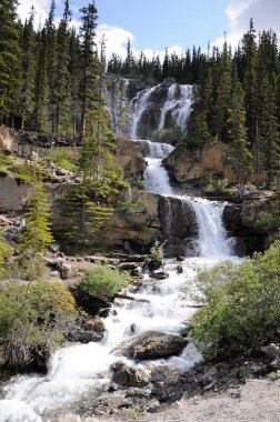 Alberta, Kanada 'daki Jasper Ulusal Parkı' nda Tangle Creek Şelalesi