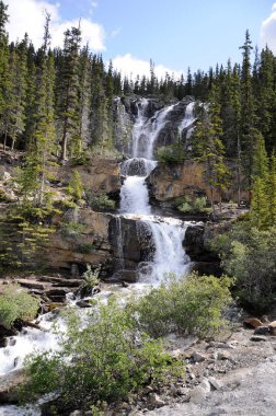Alberta, Kanada 'daki Jasper Ulusal Parkı' nda Tangle Creek Şelalesi