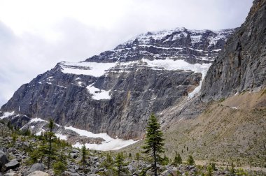 Jasper Ulusal Parkı, Alberta, Kanada 'daki Edith Cavell Dağı' ndaki Melek Buzulu.