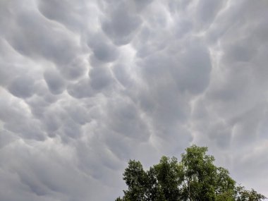 Mammatus bulutları gökyüzünü dolduruyor Prens Albert Ulusal Parkı, Saskatchewan, Kanada.
