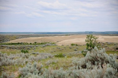 Saskatchewan, Kanada 'nın güneybatısındaki Büyük Kumtepeleri.