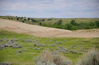 Saskatchewan, Kanada 'nın güneybatısındaki Büyük Kumtepeleri.