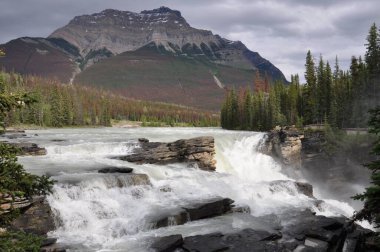 Jasper Ulusal Parkı 'ndaki Athabasca Şelalesi, Alberta, Kanada