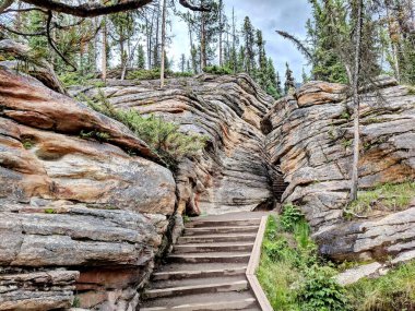 Jasper Ulusal Parkı 'ndaki Athabasca Şelalesi, Alberta, Kanada