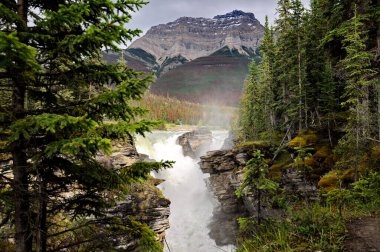Jasper Ulusal Parkı 'ndaki Athabasca Şelalesi, Alberta, Kanada