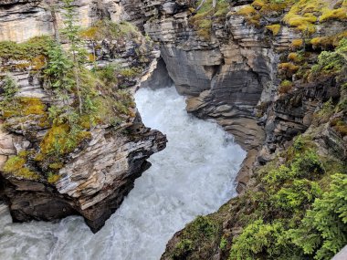 Jasper Ulusal Parkı 'ndaki Athabasca Şelalesi, Alberta, Kanada