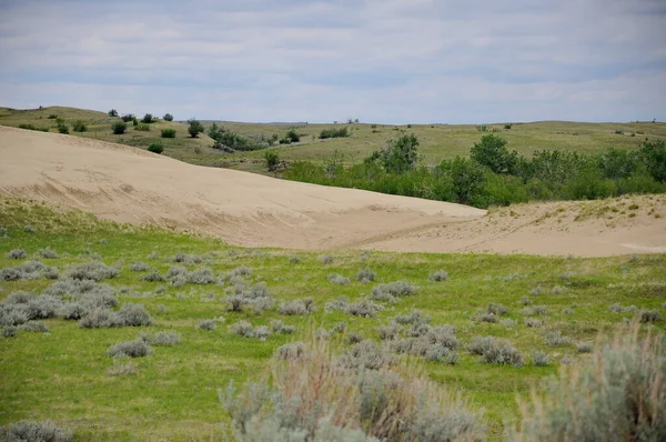 Saskatchewan, Kanada 'nın güneybatısındaki Büyük Kumtepeleri.