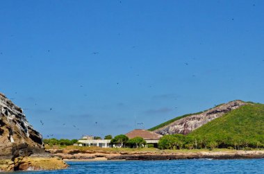 Isla Isabel, Meksika Riviera Nayarit kıyısının 25 km açığındaki volkanik bir ada. Mavi ayaklı sümsük kuşları, kırmızı gagalı tropik kuşlar ve muhteşem fregat kuşları da dahil olmak üzere binlerce kuşun yuvası..