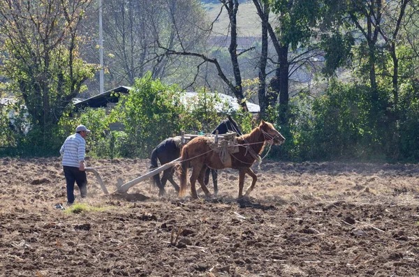 Campo Lavoura Agricultores Com Equipe Cavalos México — Fotografia de Stock