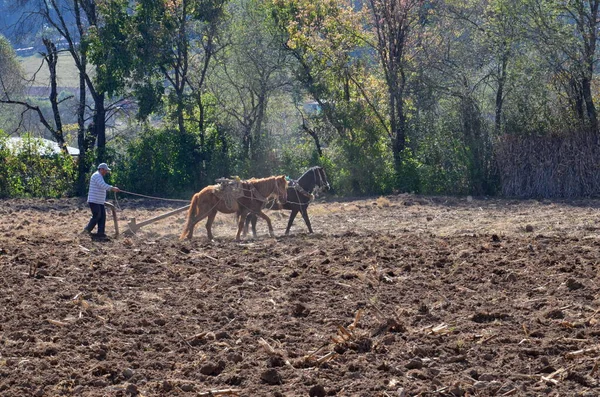 Campo Lavoura Agricultores Com Equipe Cavalos México — Fotografia de Stock