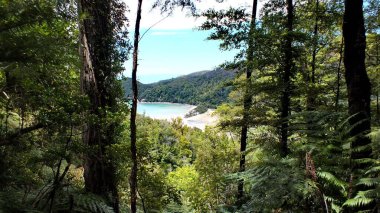 Bark Bay in Abel Tasman Ulusal Parkı, Yeni Zelanda