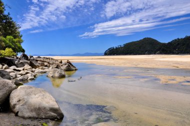 Abel Tasman Ulusal Parkı 'ndaki güneşli okyanus kıyıları, Güney Adası, Yeni Zelanda.