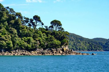 Abel Tasman Ulusal Parkı 'ndaki güneşli okyanus kıyıları, Güney Adası, Yeni Zelanda.