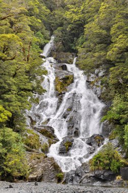 Fantail Şelalesi Yeni Zelanda 'daki Ulusal Parkı Arıyor