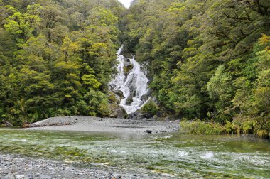 Fantail Şelalesi Yeni Zelanda 'daki Ulusal Parkı Arıyor