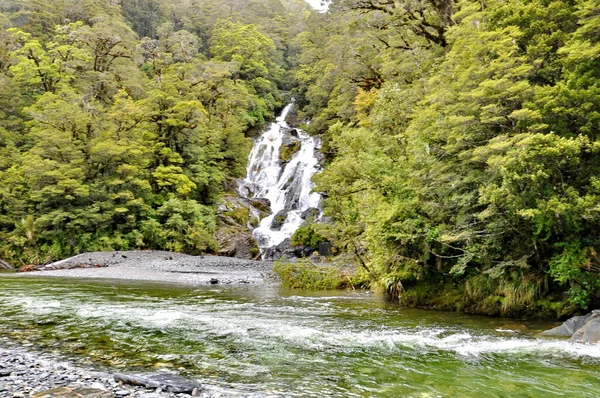 Fantail Şelalesi Yeni Zelanda 'daki Ulusal Parkı Arıyor