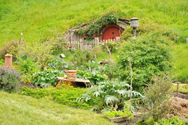 MATAMATA - NEW ZEALAND - Kasım 2016: Hobbiton Film Set Yüzüklerin Efendisi ve Hobbit filmlerini çekmek için oluşturuldu. Matamata, Yeni Zelanda, Hobbit yuvası tepede kırmızı kapılı..