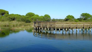 Rosolina Mare, İtalya 'daki tuzlu bataklıktaki Po Delta Botanik Bahçesi' nde tahta yol.