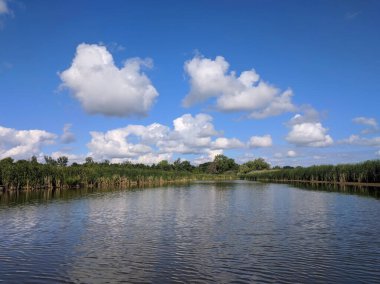 Duffins Creek Bataklıkları. Lower Duffins Creek Wetlands, Ontario Doğal Kaynaklar Bakanlığı tarafından 2005 yılında önemli olarak belirlenen 20 hektarlık bir bataklık arazidir..