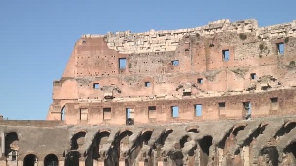 Ρώμη Ιταλία Σεπτεμβρίου 2015 Εσωτερικό Του Κολοσσαίου Στη Ρώμη Ιταλία — Αρχείο Βίντεο