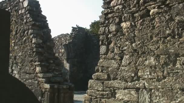 Glendalough Wicklow Lçesi Rlanda — Stok video