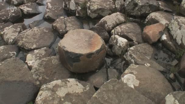 北爱尔兰北海岸安里克郡的巨石阵路 — 图库视频影像