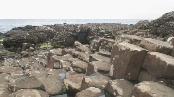 Giant Causeway Hrabství Antrim Severním Pobřeží Severního Irska — Stock video