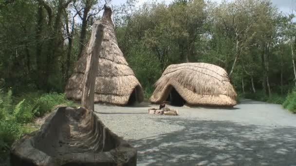 Hrabstwo Wexford Irlandia Maja 2012 Chata Thatched Parku Dziedzictwa Narodowego — Wideo stockowe