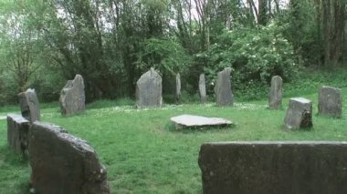 County Wexford, İrlanda, 27 Mayıs 2012 İrlanda Ulusal Mirası Parkında Stone Circle.